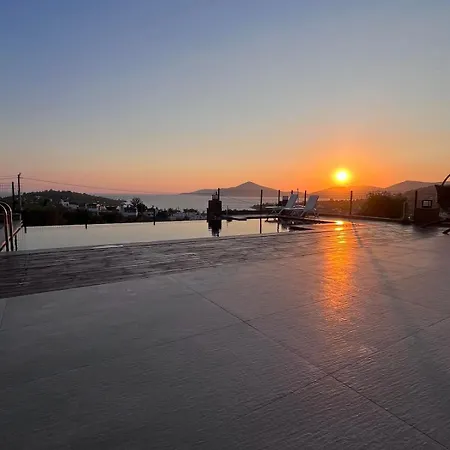 Zs Blue * Alagun Adasi